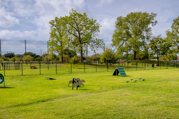 StockPicDogPark2